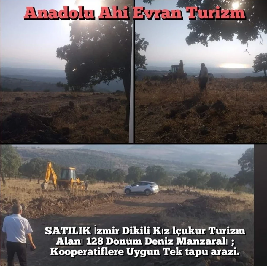 Dikili 128 Dönüm